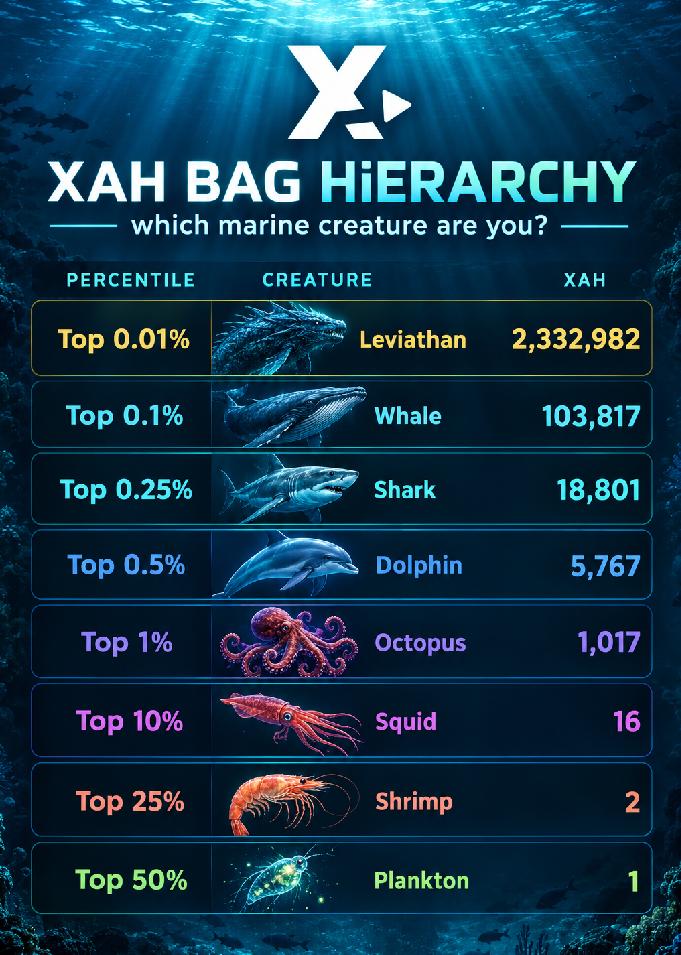 XAH Rich List