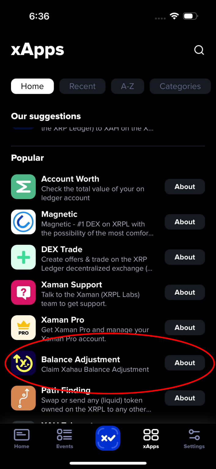 Balance Adjustment xApp on Xaman