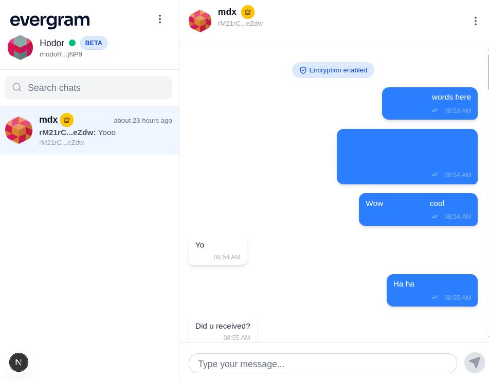 Screenshot Of Evergram Chat