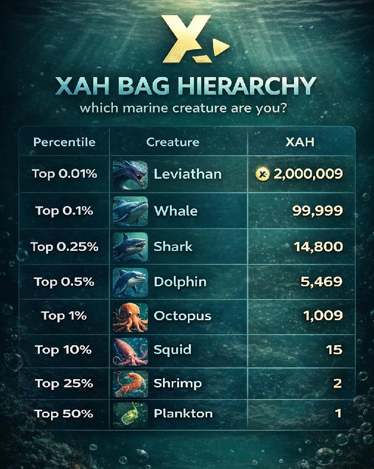 XAH Rich List