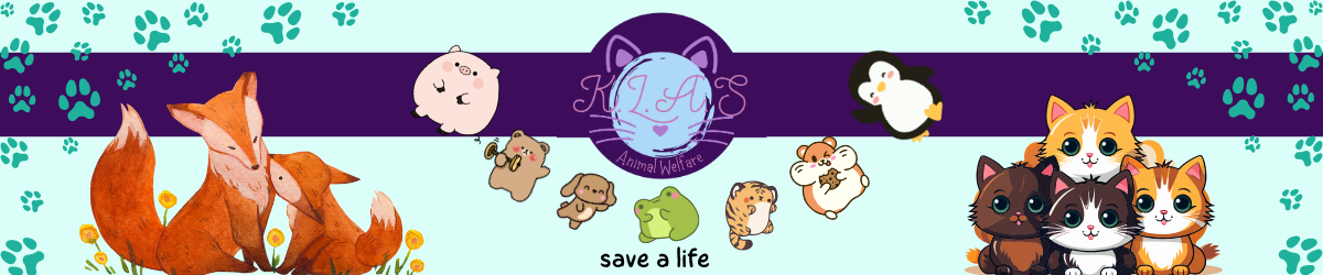 K.L.A.S's banner